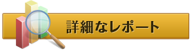 詳細なレポート