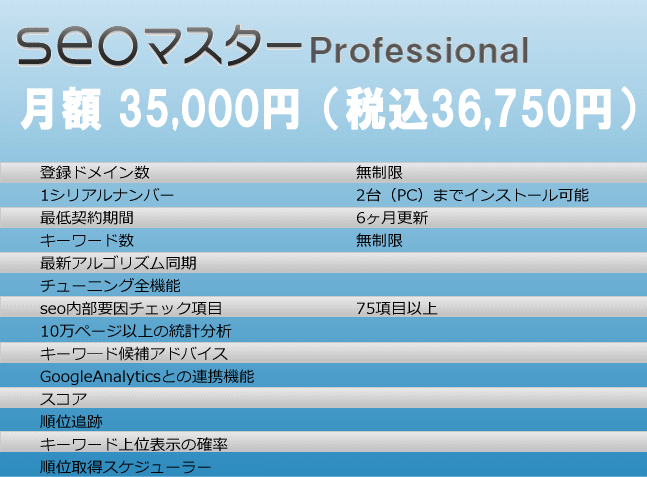 seoマスターProfessional価格